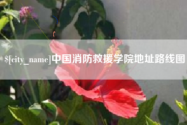 莆田中国消防救援学院地址路线图