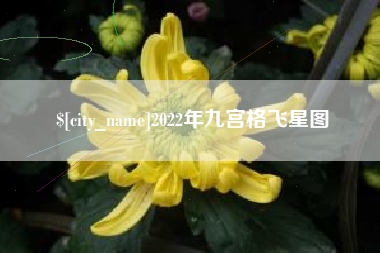 莆田2022年九宫格飞星图