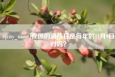 莆田我国的消防日是每年的11月9日对吗？