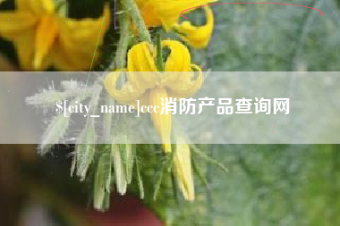 莆田ccc消防产品查询网