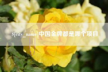 莆田中国金牌都是哪个项目