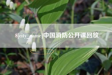莆田中国消防公开课回放