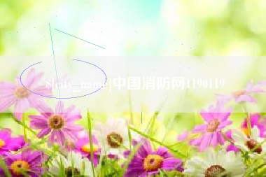 莆田中国消防网1190119