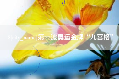 莆田第一波奥运金牌“九宫格”