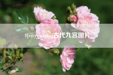 莆田古代九宫图片