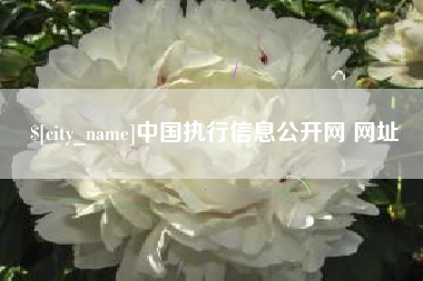 莆田中国执行信息公开网 网址