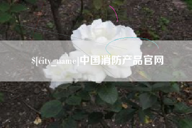 莆田中国消防产品官网