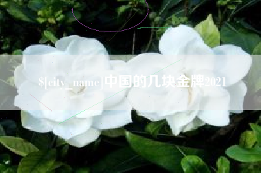 莆田中国的几块金牌2021