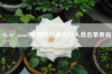 莆田中国失信被执行人员名单查询