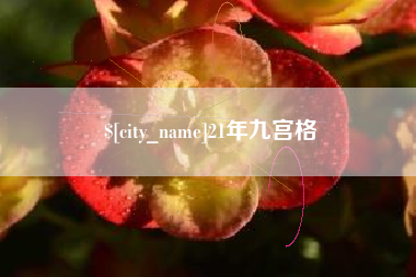 莆田21年九宫格