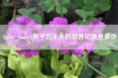 莆田男子五千米的世界纪录是多少
