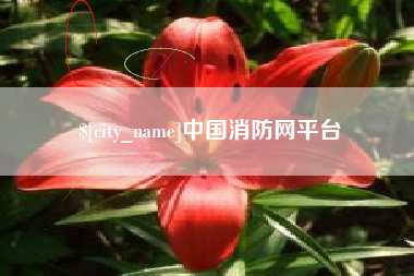 莆田中国消防网平台