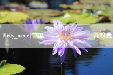 莆田中国🇨🇳几枚金牌