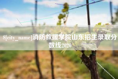 莆田消防救援学院山东招生录取分数线2020