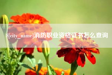 莆田消防职业资格证书怎么查询