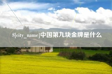 莆田中国第九块金牌是什么