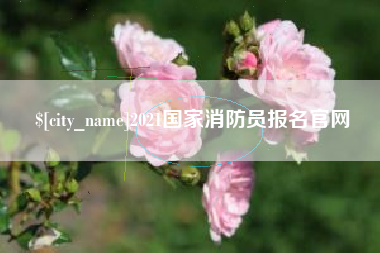 莆田2021国家消防员报名官网