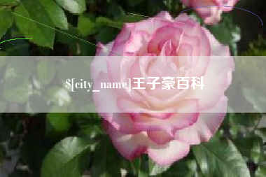莆田王子豪百科