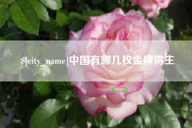 莆田中国有哪几枚金牌得主