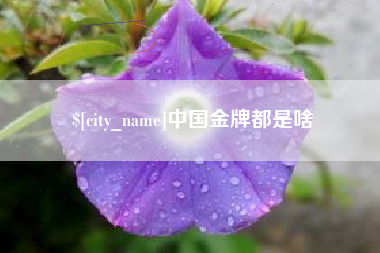 莆田中国金牌都是啥