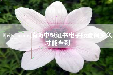 莆田消防中级证书电子版查询多久才能查到