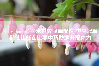 莆田5000米世界冠军配速-世界冠军们往往能在比赛中巧妙地分配体力