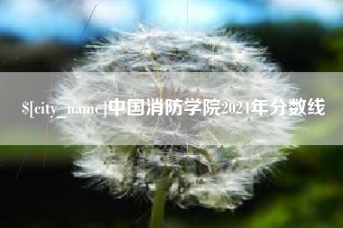 莆田中国消防学院2024年分数线