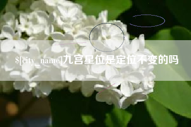 莆田九宫星位是定位不变的吗