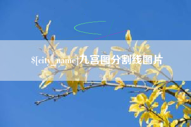 莆田九宫图分割线图片