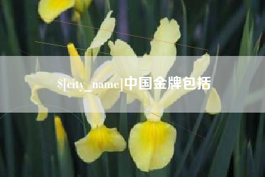 莆田中国金牌包括