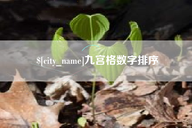 莆田九宫格数字排序
