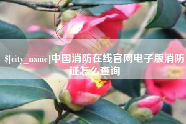 莆田中国消防在线官网电子版消防证怎么查询