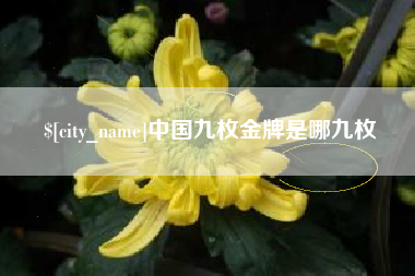 莆田中国九枚金牌是哪九枚