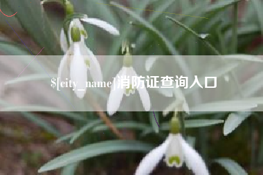 莆田消防证查询入口
