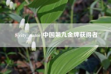 莆田中国第九金牌获得者