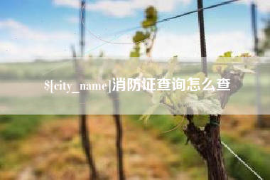 莆田消防证查询怎么查