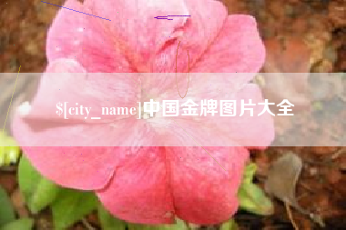 莆田中国金牌图片大全