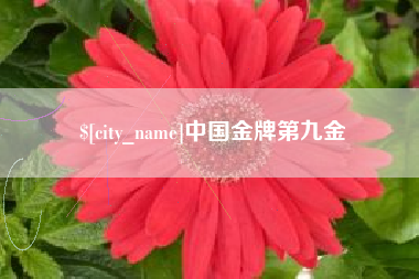 莆田中国金牌第九金