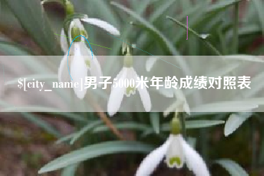 莆田男子5000米年龄成绩对照表
