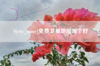 莆田免费卫星地图哪个好