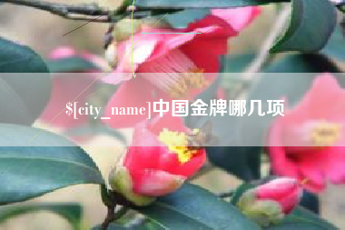 莆田中国金牌哪几项