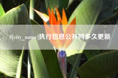 莆田执行信息公开网多久更新