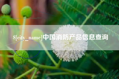 莆田中国消防产品信息查询