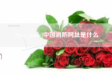 莆田中国消防网址是什么