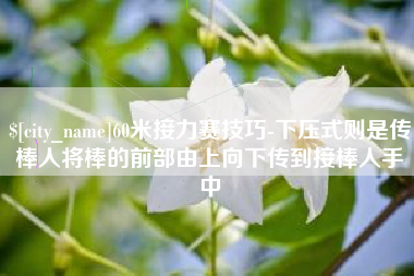 莆田60米接力赛技巧-下压式则是传棒人将棒的前部由上向下传到接棒人手中