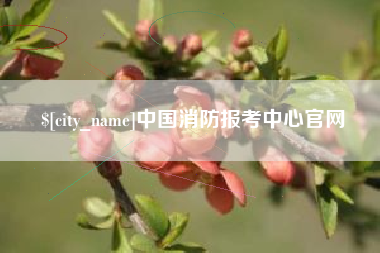 莆田中国消防报考中心官网
