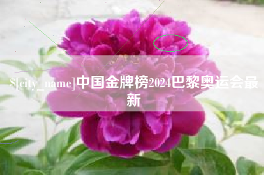 莆田中国金牌榜2024巴黎奥运会最新