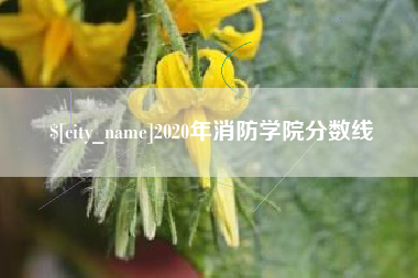 莆田2020年消防学院分数线