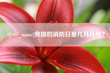 莆田我国的消防日是几月几号？
