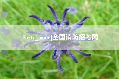 莆田全国消防招考网